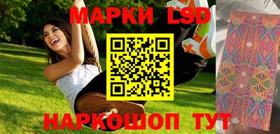 крисы Гатчина