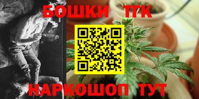 индика Гагарин