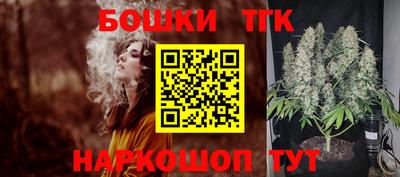 индика Гагарин