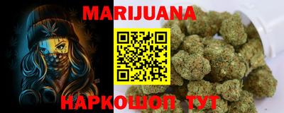 крисы Гатчина