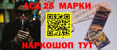крисы Гатчина