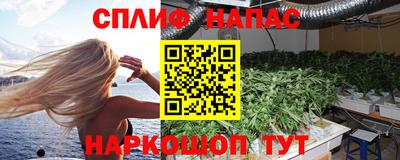 крисы Гатчина