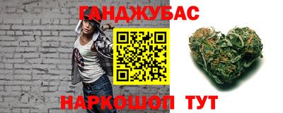 крисы Гатчина