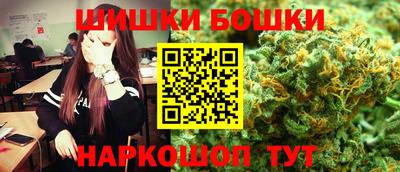 крисы Гатчина