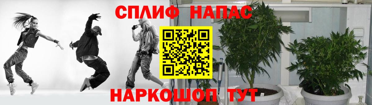 Шишки марихуана MAZAR  Бошки марихуана гибрид  Вход с VPN  Ржев  Конопля VHQ 